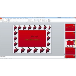 پاورپوینت توت فرنگی ( 31 اسلاید )